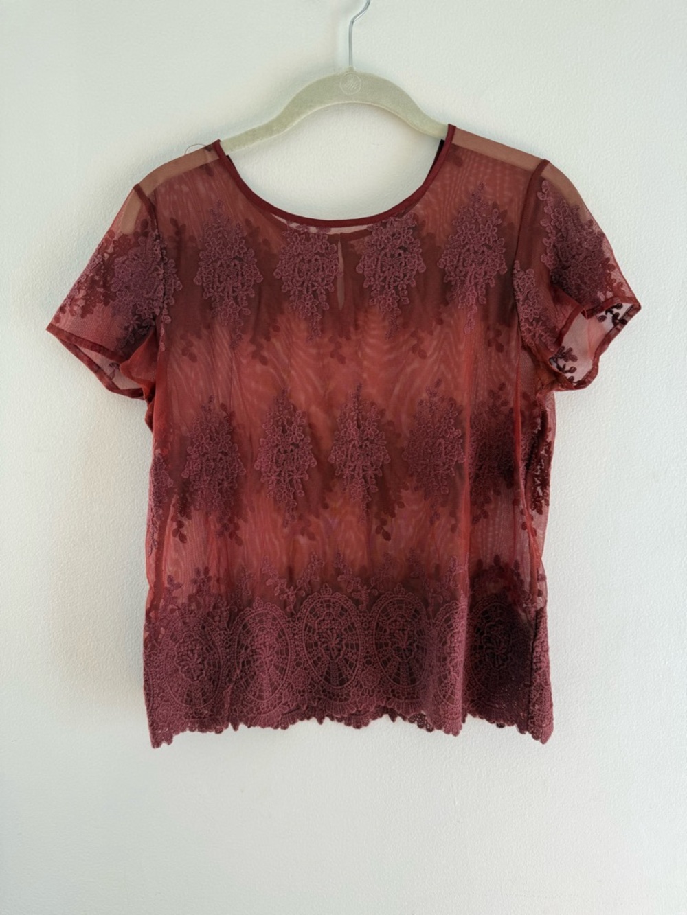 Sheer Lace-Embroidered Top